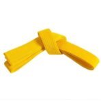 Premium Martial Arts Yellow Belt - Image 3
