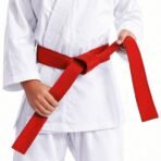 Premium Martial Arts Red Belt