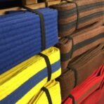 Martial Arts Belt - Image 4