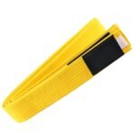 Premium Martial Arts Yellow Belt - Image 5